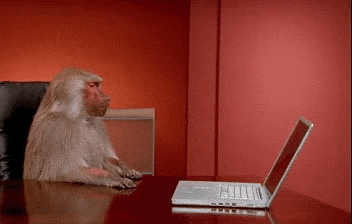 Beestig Office Monkey throwing laptop